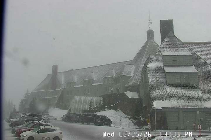 Live Feed: Timberline Lodge Camera