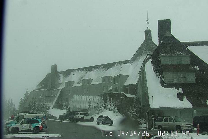 Live Feed: Timberline Lodge Camera