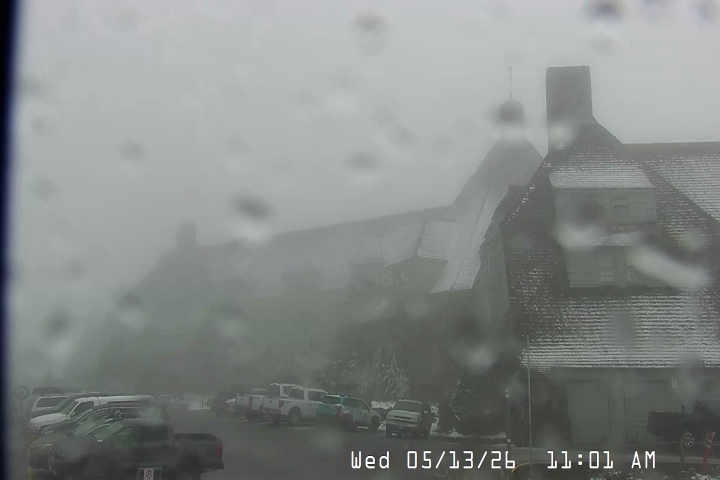 Live Feed: Timberline Lodge Camera