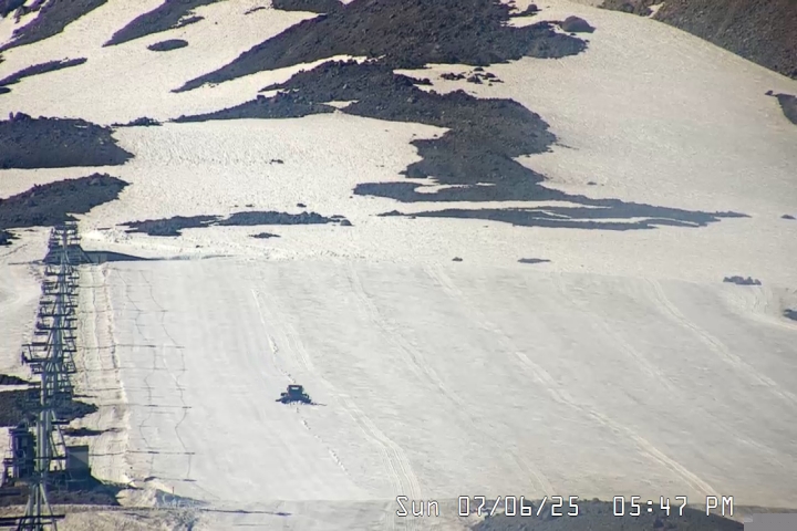 Live Feed: Palmer/Silcox Camera