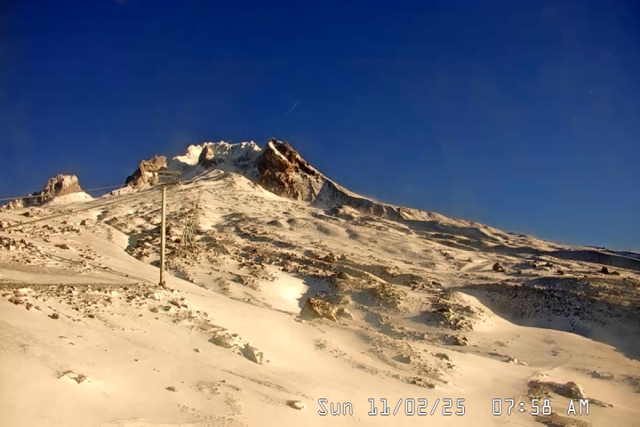 Live Feed: Palmer/Silcox Camera