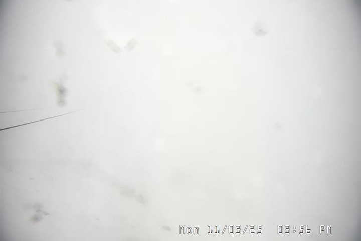 Live Feed: Palmer/Silcox Camera