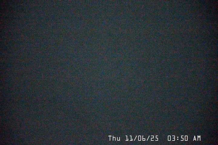Live Feed: Palmer/Silcox Camera