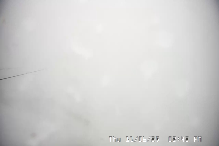 Live Feed: Palmer/Silcox Camera