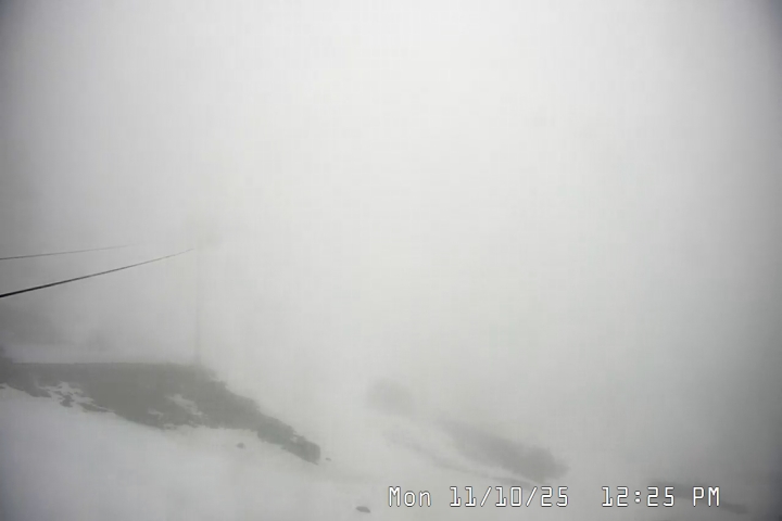 Live Feed: Palmer/Silcox Camera