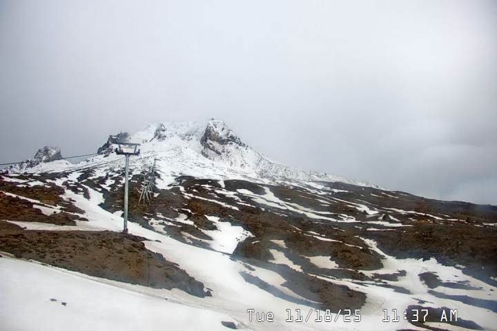 Live Feed: Palmer/Silcox Camera