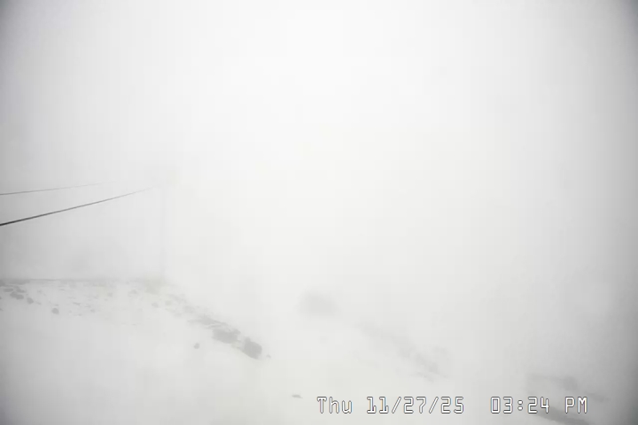 Live Feed: Palmer/Silcox Camera