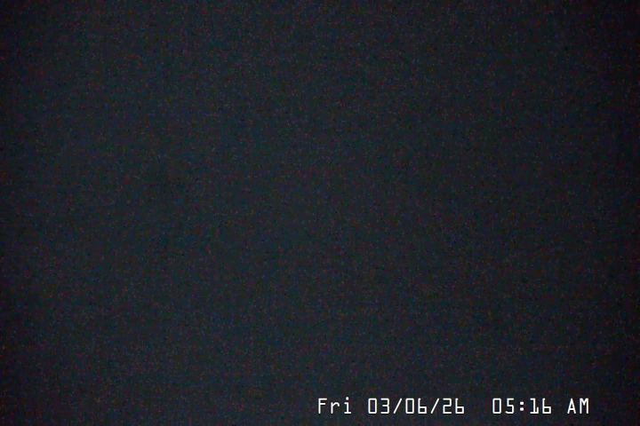 Live Feed: Palmer/Silcox Camera
