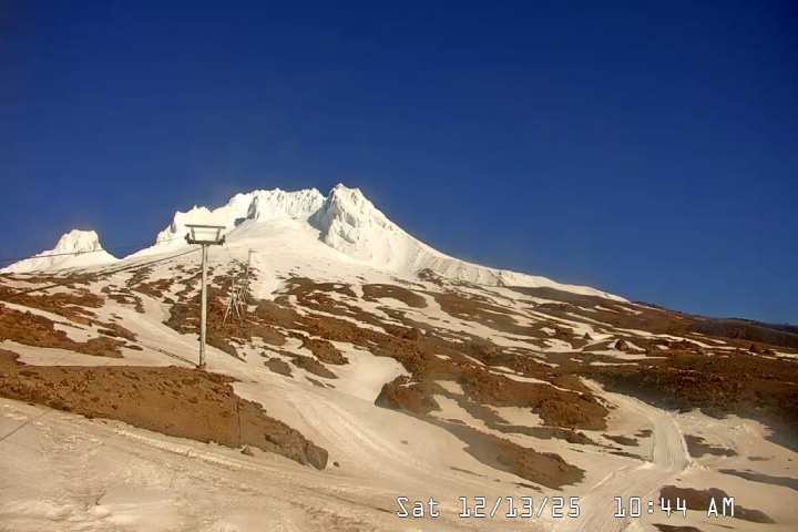 Live Feed: Palmer/Silcox Camera