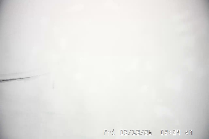 Live Feed: Palmer/Silcox Camera