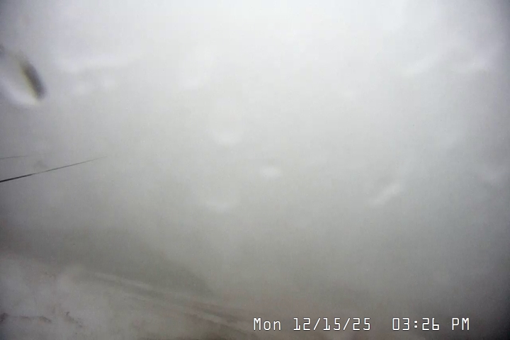 Live Feed: Palmer/Silcox Camera