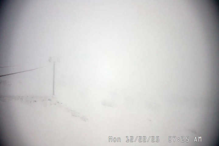 Live Feed: Palmer/Silcox Camera