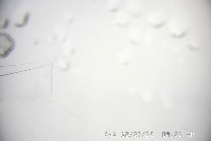 Live Feed: Palmer/Silcox Camera