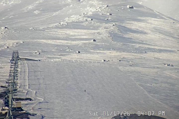 Live Feed: Palmer/Silcox Camera