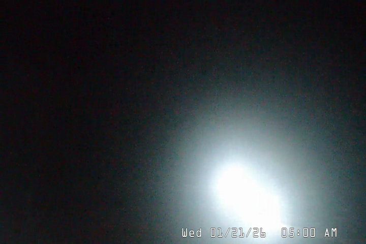 Live Feed: Palmer/Silcox Camera