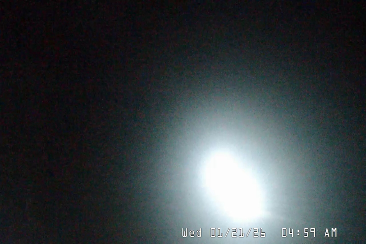 Live Feed: Palmer/Silcox Camera