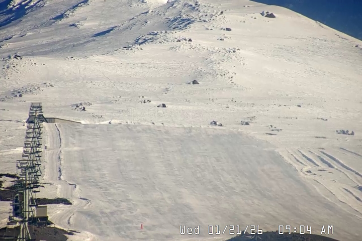 Live Feed: Palmer/Silcox Camera