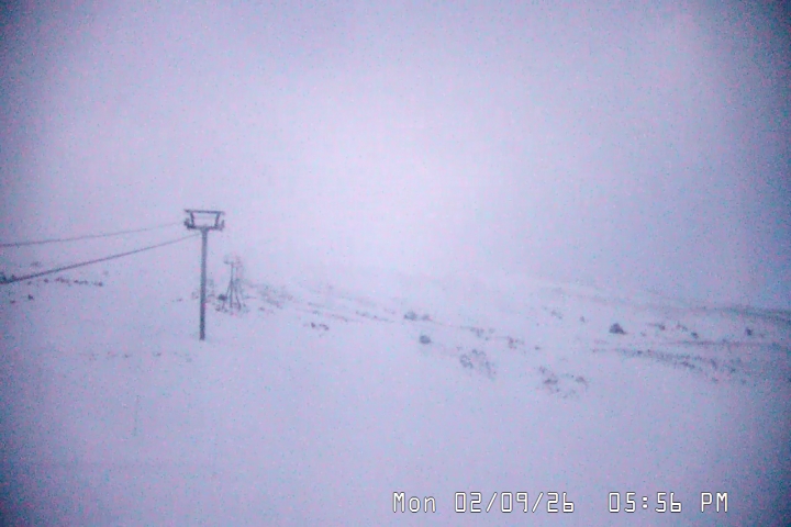 Live Feed: Palmer/Silcox Camera