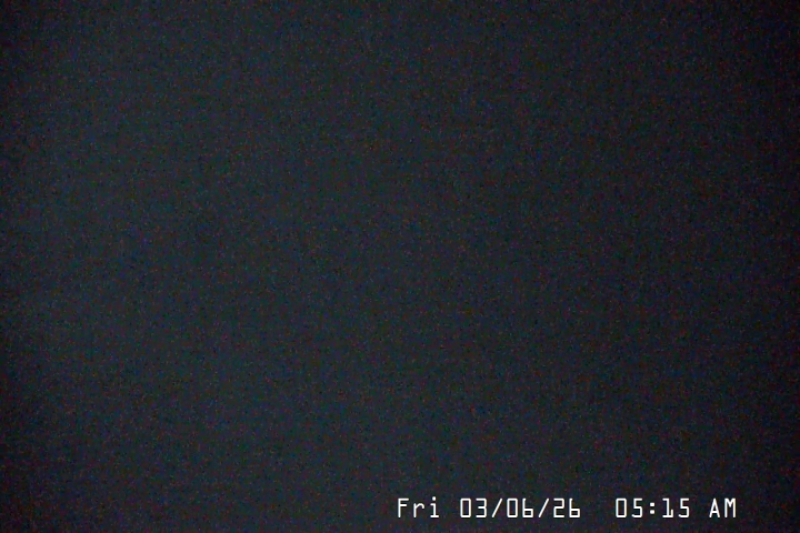 Live Feed: Palmer/Silcox Camera