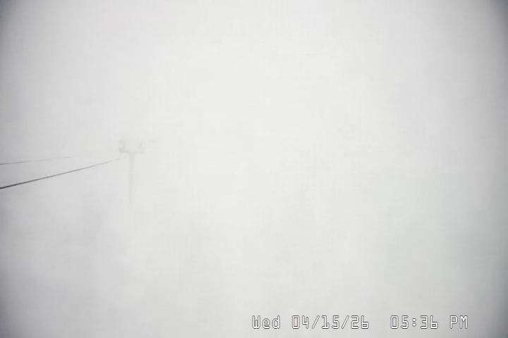 Live Feed: Palmer/Silcox Camera