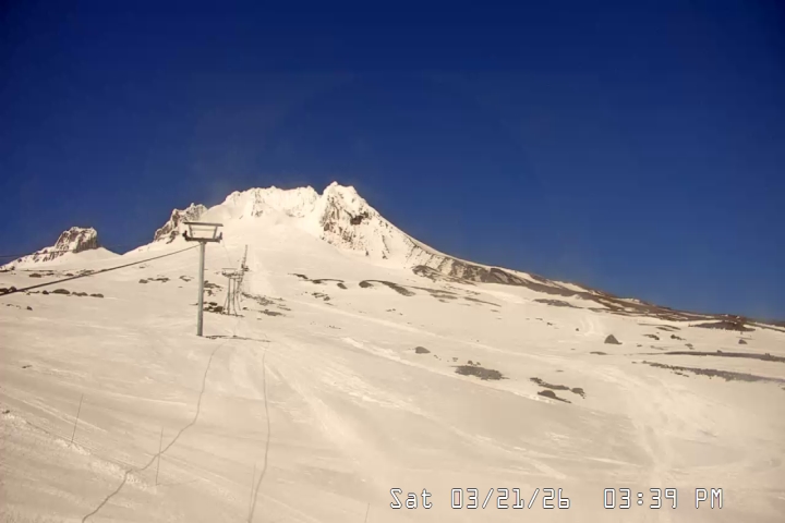 Live Feed: Palmer/Silcox Camera