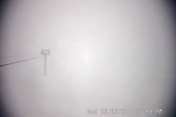 Live Feed: Palmer/Silcox Camera