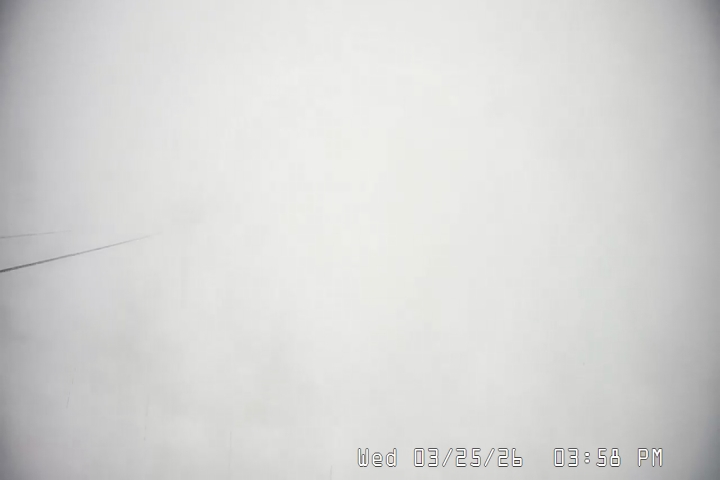 Live Feed: Palmer/Silcox Camera