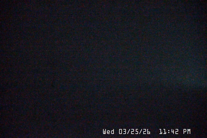 Live Feed: Palmer/Silcox Camera