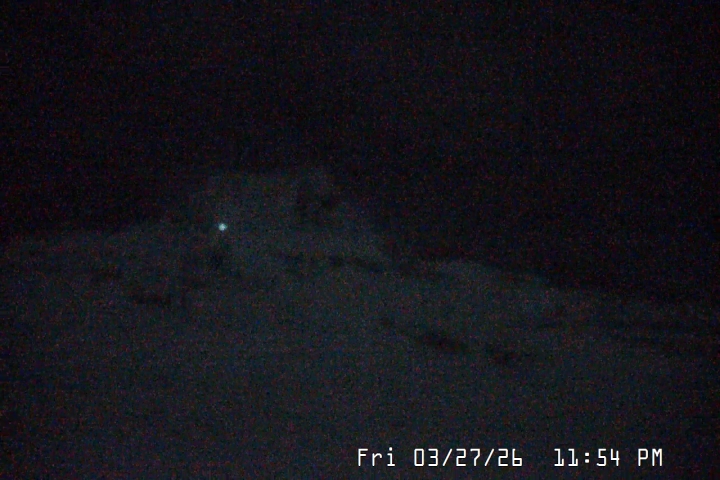 Live Feed: Palmer/Silcox Camera