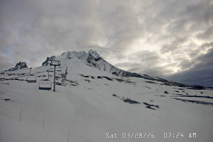 Live Feed: Palmer/Silcox Camera