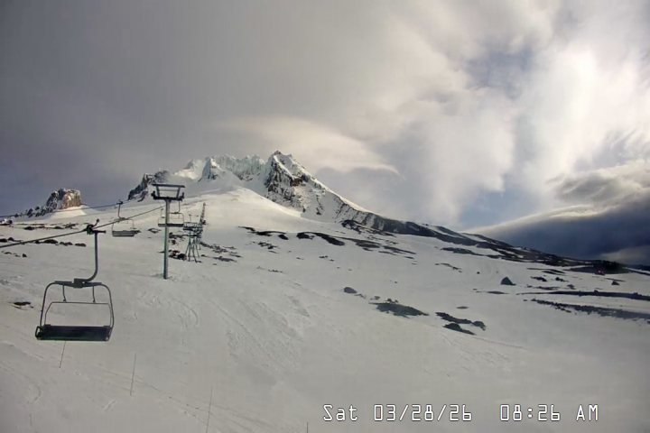 Live Feed: Palmer/Silcox Camera