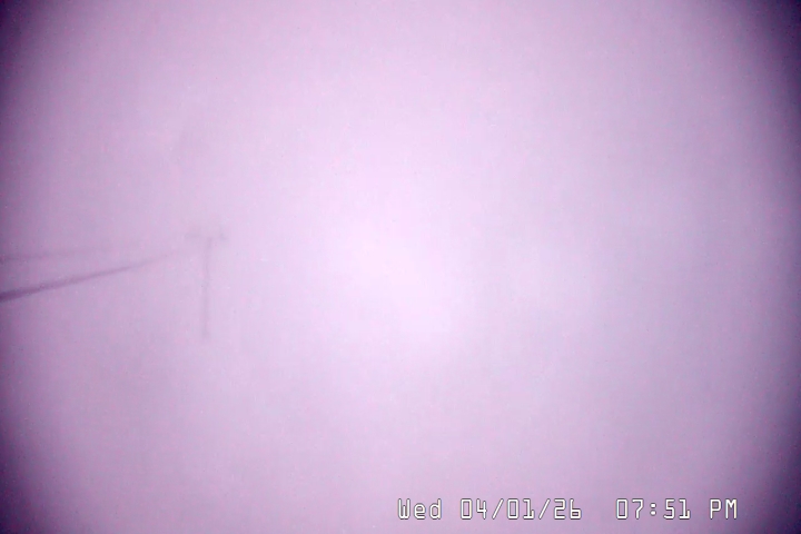 Live Feed: Palmer/Silcox Camera