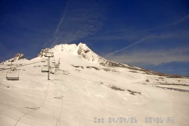 Live Feed: Palmer/Silcox Camera