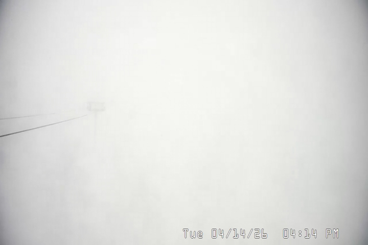 Live Feed: Palmer/Silcox Camera