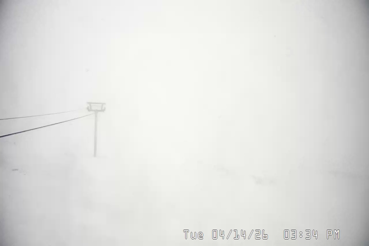 Live Feed: Palmer/Silcox Camera