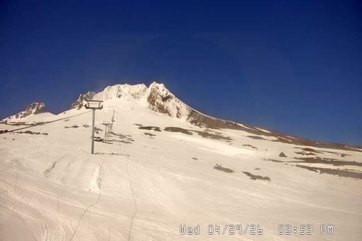 Live Feed: Palmer/Silcox Camera