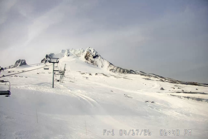 Live Feed: Palmer/Silcox Camera