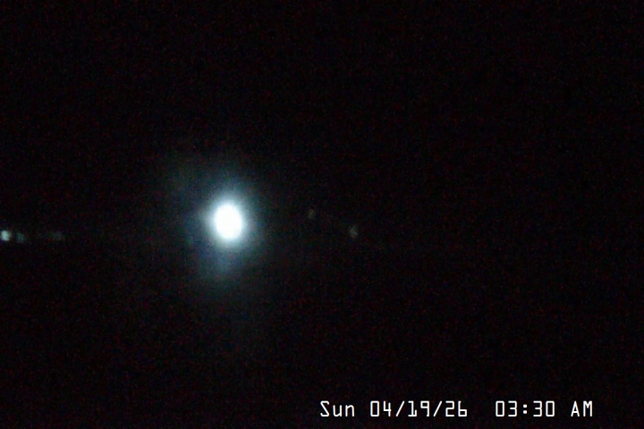 Live Feed: Palmer/Silcox Camera