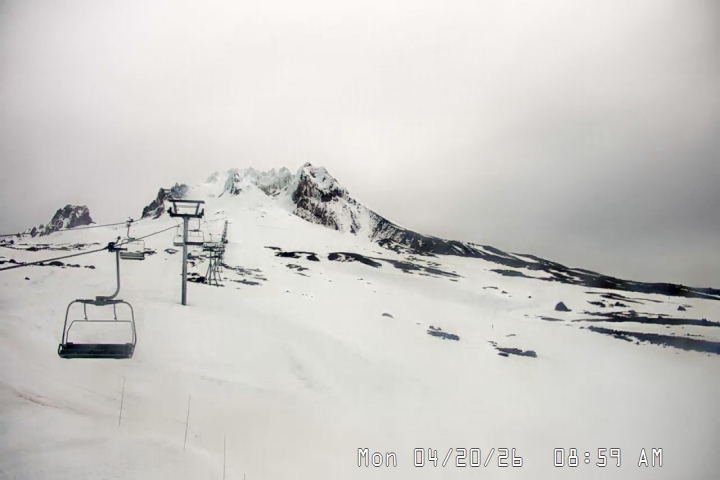 Live Feed: Palmer/Silcox Camera