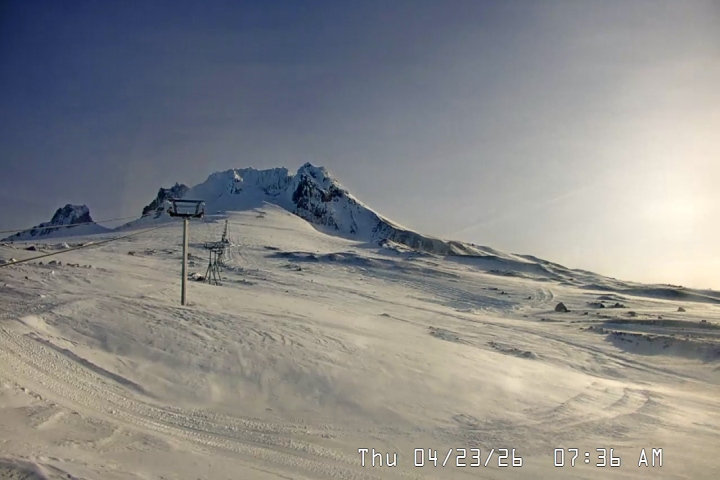 Live Feed: Palmer/Silcox Camera