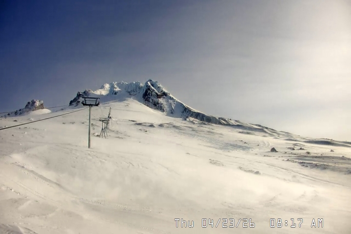 Live Feed: Palmer/Silcox Camera