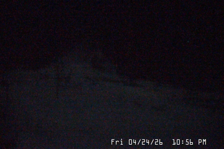 Live Feed: Palmer/Silcox Camera