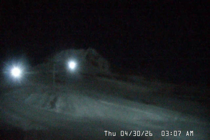 Live Feed: Palmer/Silcox Camera