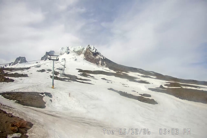Live Feed: Palmer/Silcox Camera
