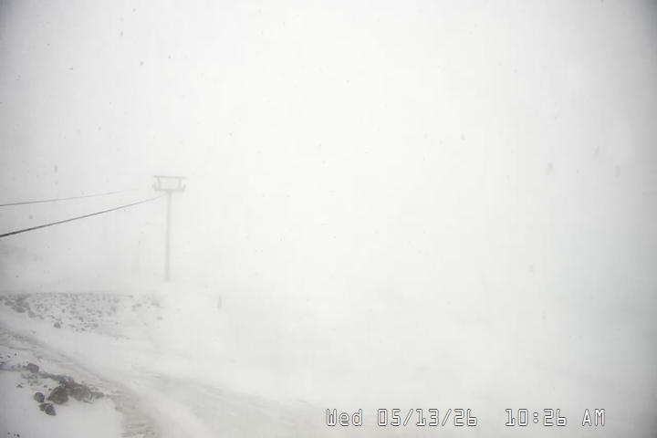 Live Feed: Palmer/Silcox Camera