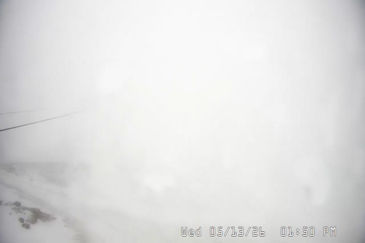 Live Feed: Palmer/Silcox Camera