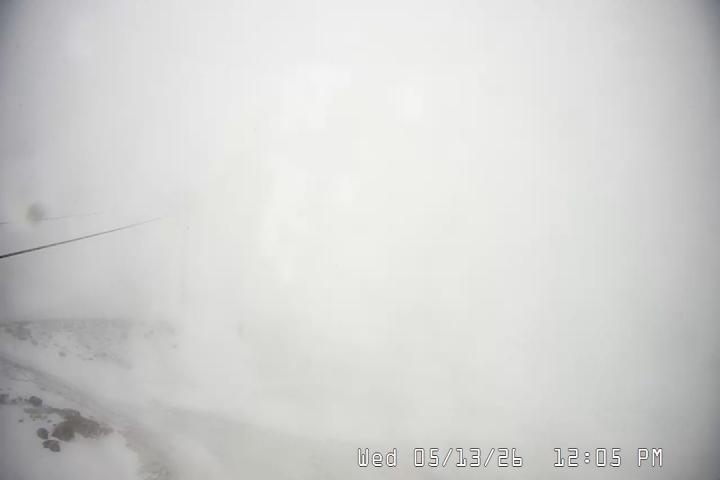 Live Feed: Palmer/Silcox Camera