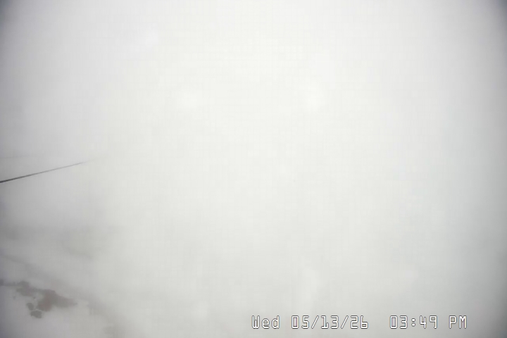 Live Feed: Palmer/Silcox Camera