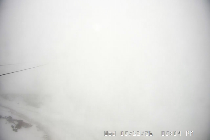 Live Feed: Palmer/Silcox Camera