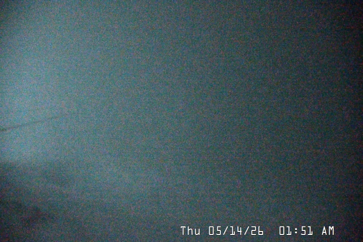 Live Feed: Palmer/Silcox Camera